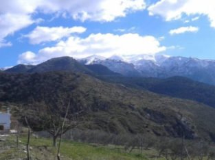 ALCAUCIN 160 M2