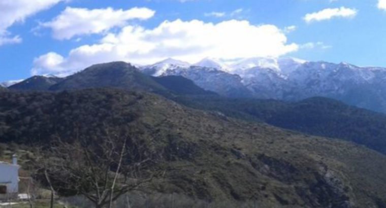 ALCAUCIN 160 M2