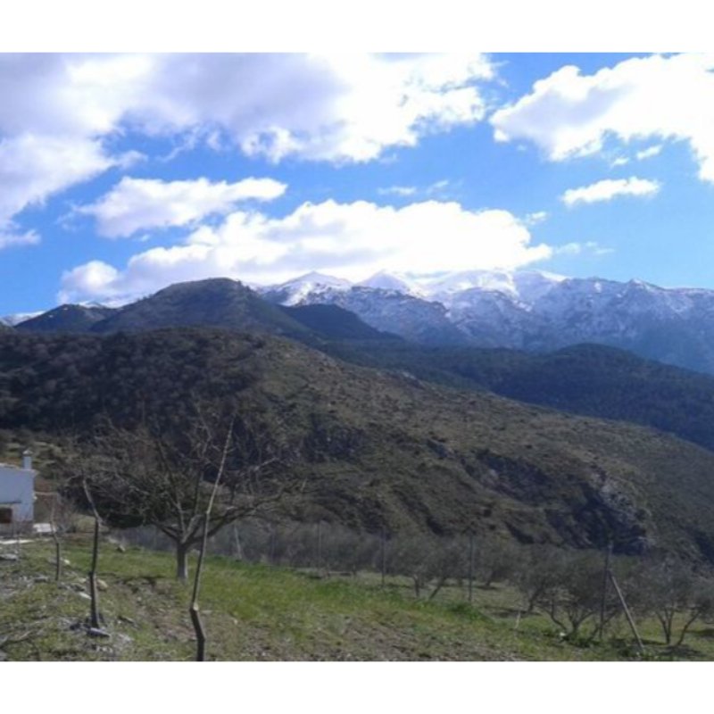 ALCAUCIN 160 M2