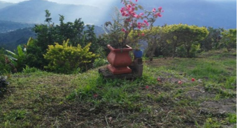 Vendo Buena Finca En San Vicente De Chucuri