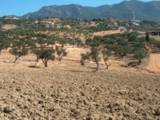 ALHAURÍN EL GRANDE, PARTIDA SIETE CARAS