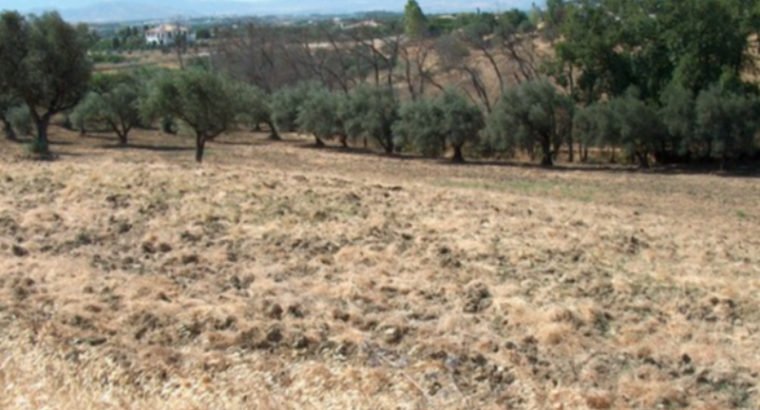 ALHAURÍN EL GRANDE, PARTIDA SIETE CARAS