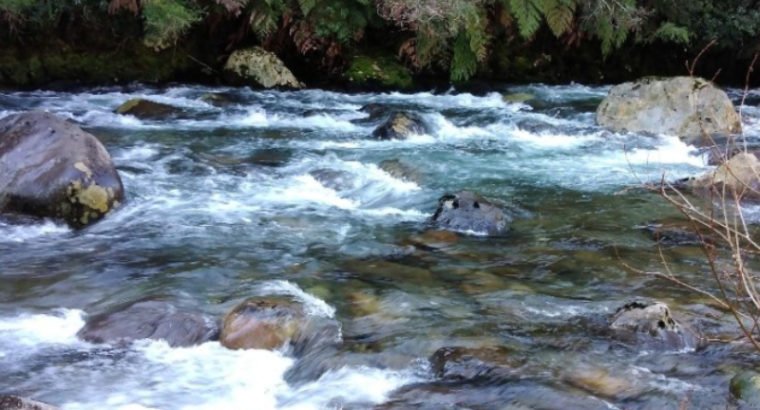 Campo con río de 8.5 hectáreas