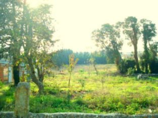 Terreno p costrução de Moradias