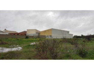 PARCELA ZONA NOVO SANCTI PETRI