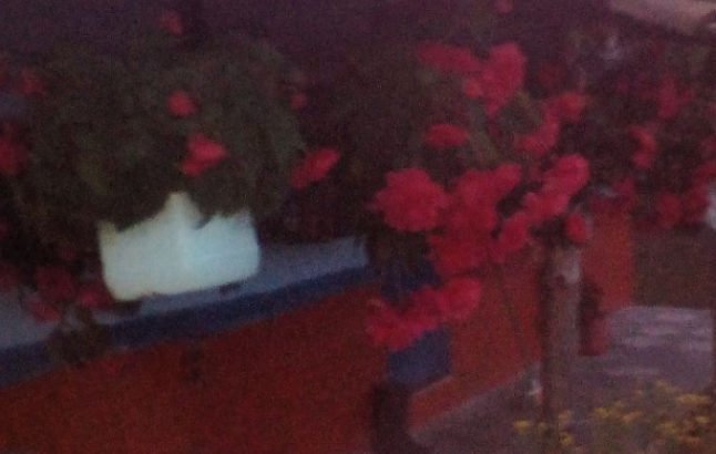 Finca en venta
