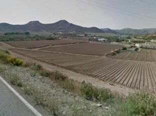 EXPLOTACION AGRÍCOLA REGADÍO CON CORTIJO