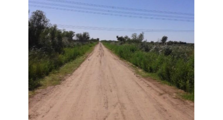 100000 m² – VENDO CAMPO EN ZARATE