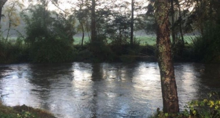 Extraordinario Campo 218 hectareas ganadero en Pue