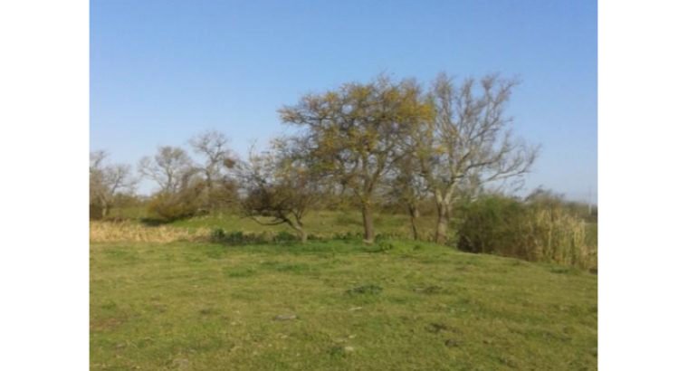 100000 m² – VENDO CAMPO EN ZARATE