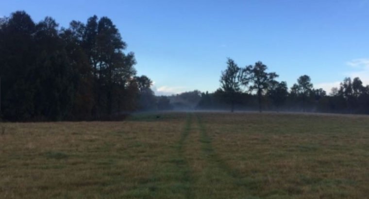 Extraordinario Campo 218 hectareas ganadero en Pue