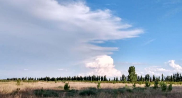 670000 m² – GENERAL ALVEAR, MENDOZA – VENDO 67 HAS