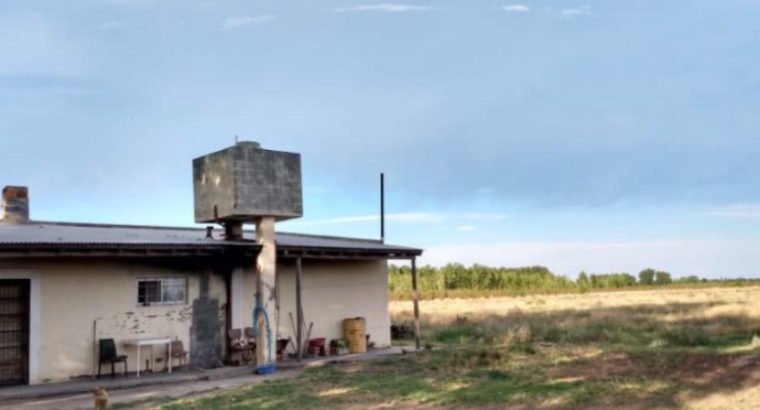 670000 m² – GENERAL ALVEAR, MENDOZA – VENDO 67 HAS