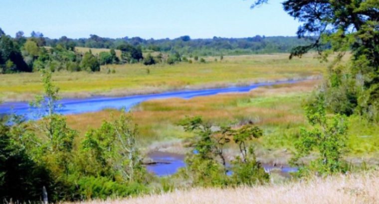 Campo 13.5 hectáreas maullín