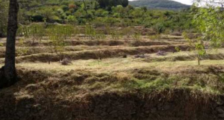 PARAJE EL JUSTAL