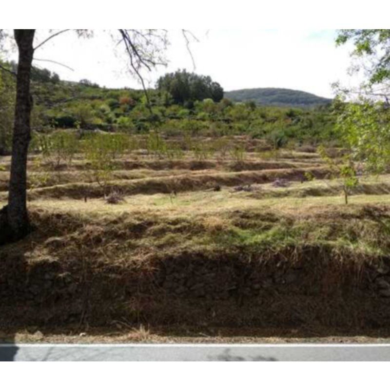 PARAJE EL JUSTAL