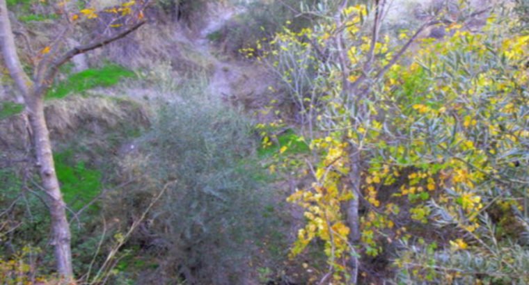 VENTA DE FINCA