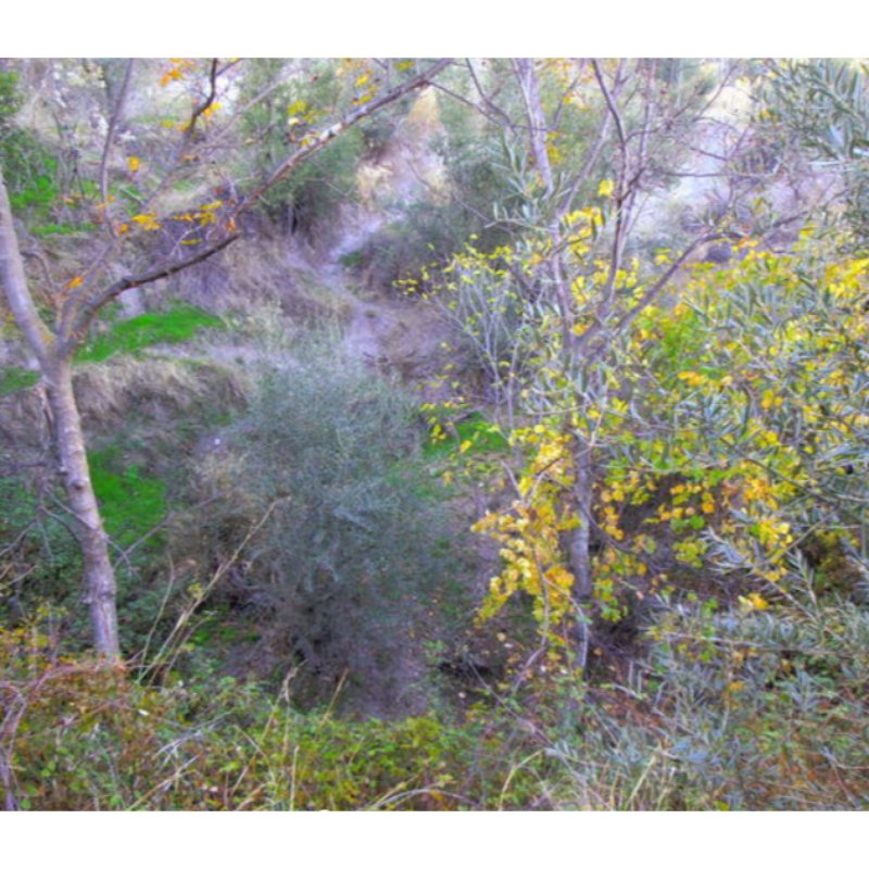 VENTA DE FINCA
