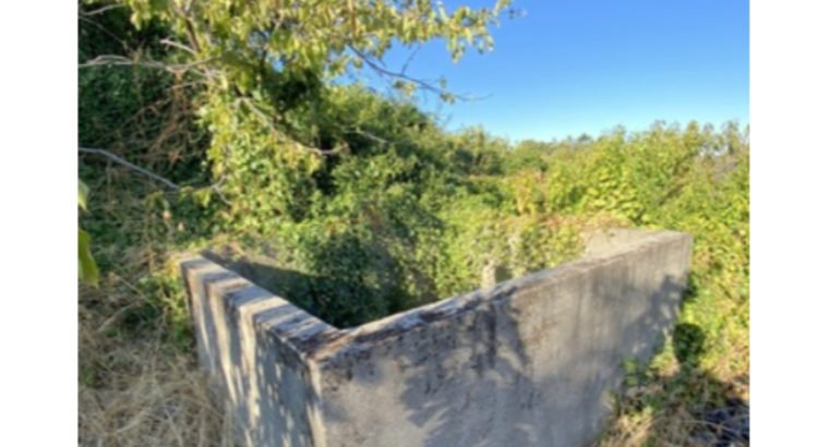 PARAJE EL JUSTAL