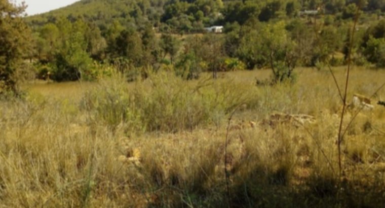 TERRENO EDIFICABLE