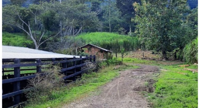 Finca de 140 Hectáreas