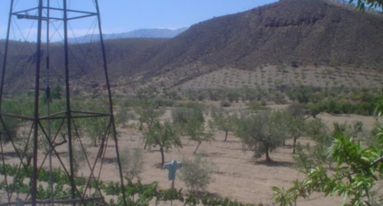 CORTIJO EN HUENEJA