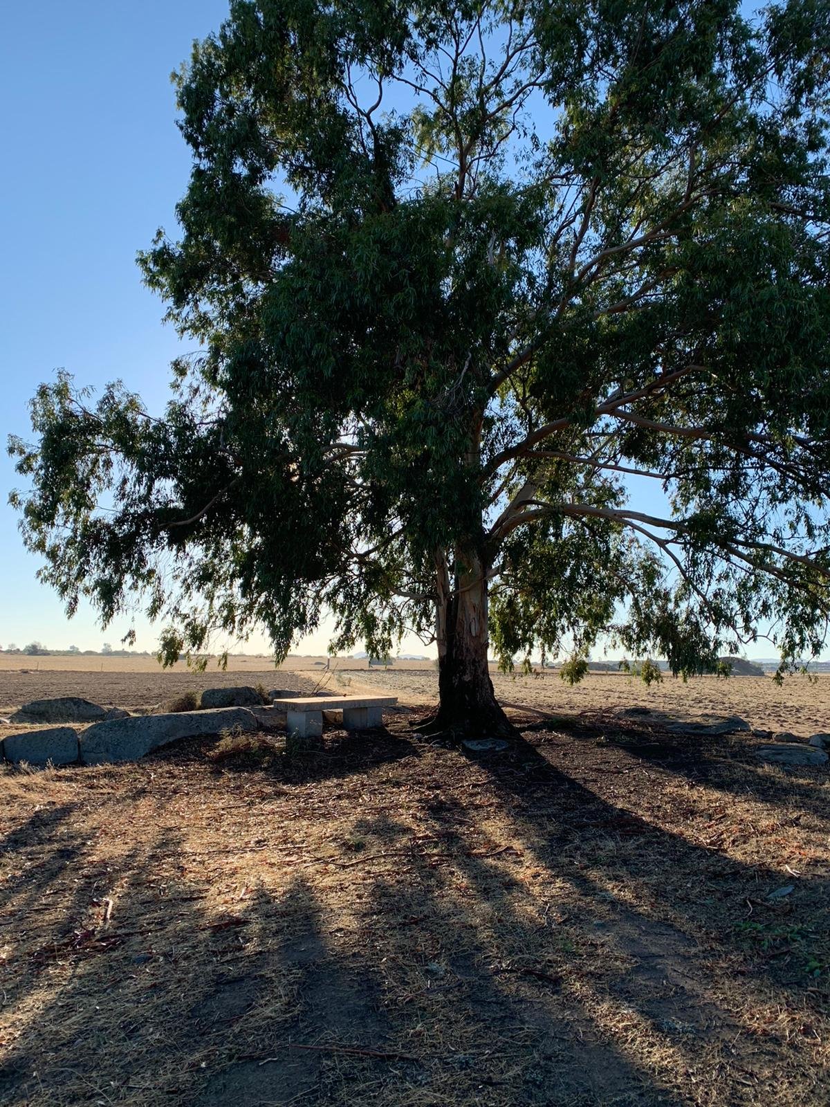 Finca Rustica en Badajoz