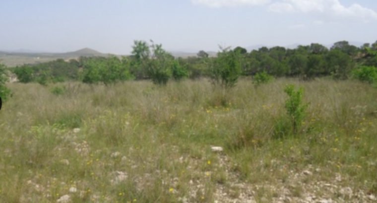 PARCELA EN YECLA 31. 700 M2