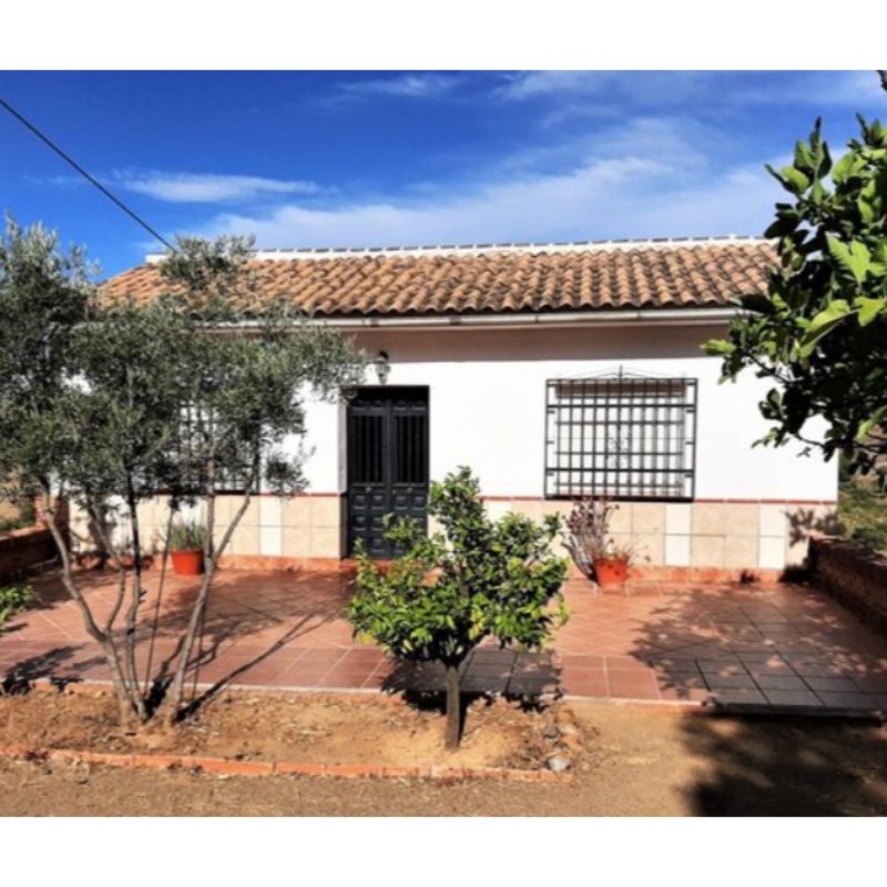 CASA RURAL COLMENAR