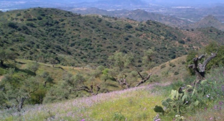 MONTES DE MÁLAGA-LOS VERDIALES