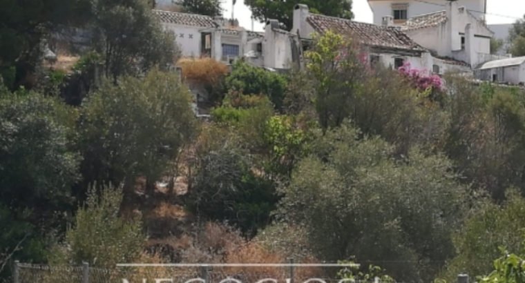 FINCA RURAL EN MIJAS