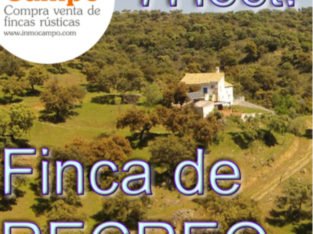 VENTA DE FINCA DE RECREO