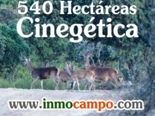 VENTA DE FINCA RÚSTICA EN LOS PEDROCHES