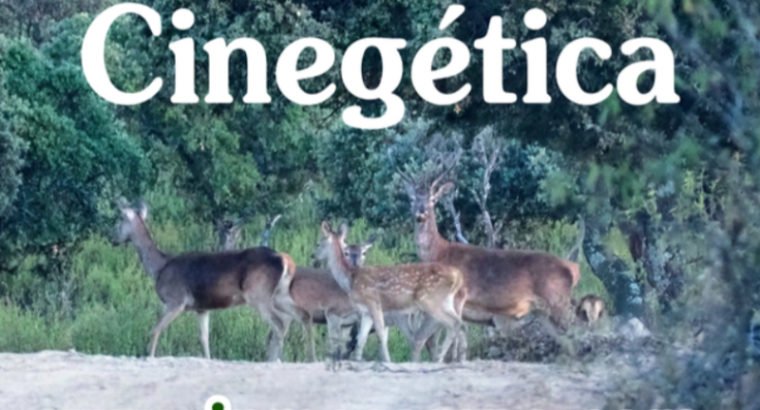 VENTA DE FINCA RÚSTICA EN LOS PEDROCHES