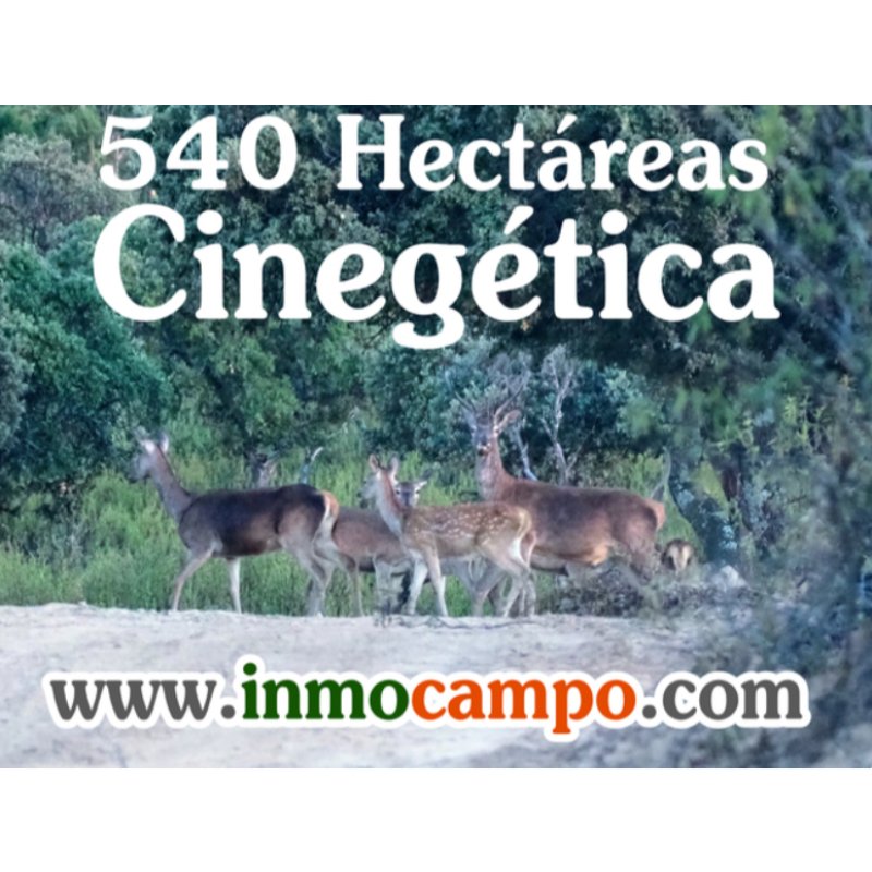 VENTA DE FINCA RÚSTICA EN LOS PEDROCHES