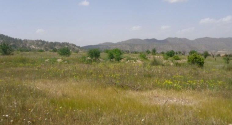 PARCELA EN YECLA 31. 700 M2