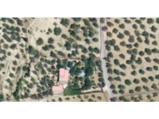 CASA RURAL LOS OLIVARES