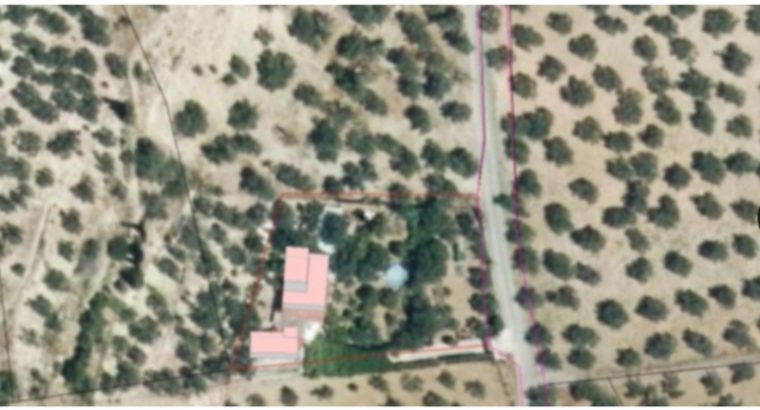 CASA RURAL LOS OLIVARES