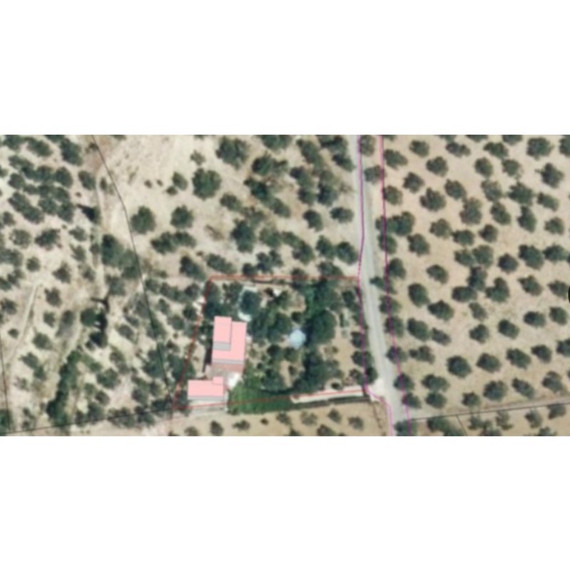 CASA RURAL LOS OLIVARES