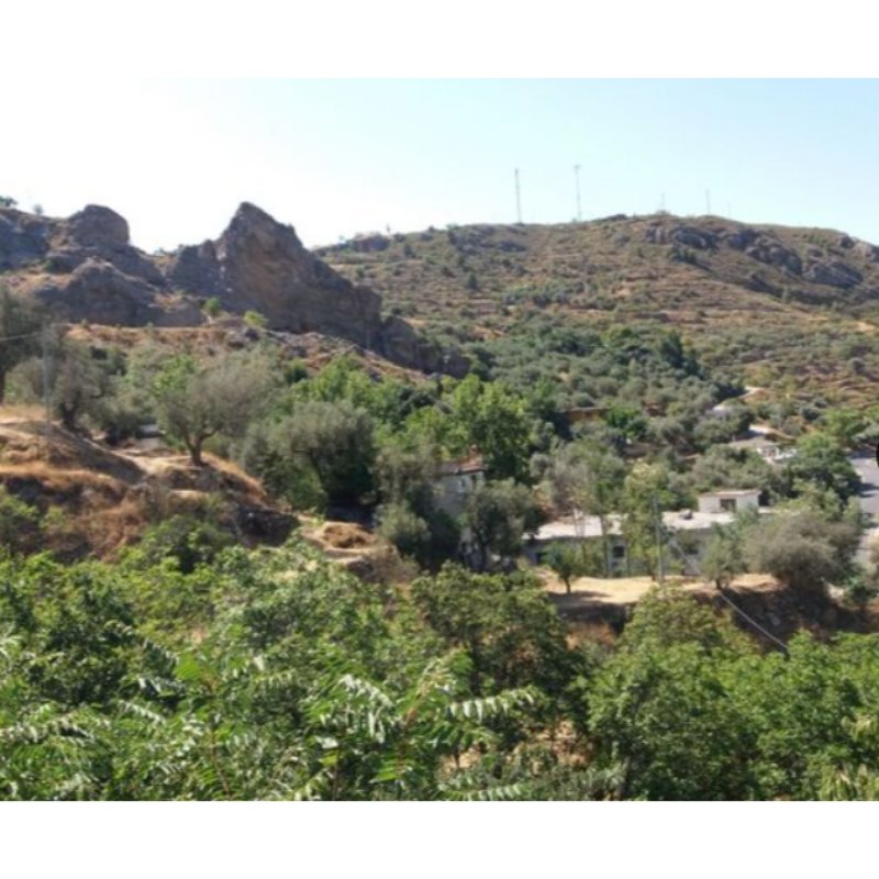 CASA RURAL EN VENTA EN LANJARON