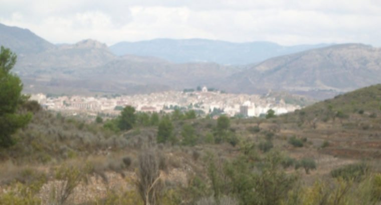 FINCA HACIENDA EN MONOVAR
