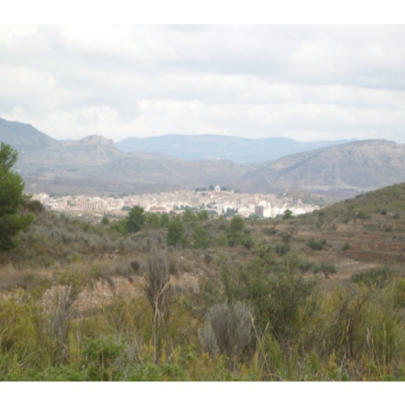 FINCA HACIENDA EN MONOVAR