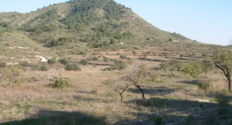 FINCA HACIENDA EN MONOVAR