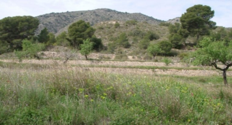 FINCA HACIENDA EN MONOVAR
