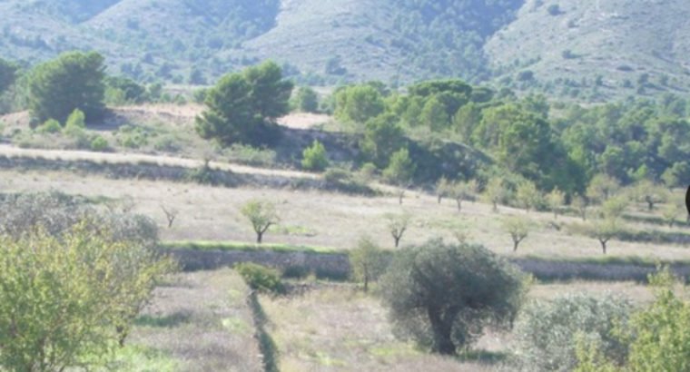 FINCA HACIENDA EN MONOVAR