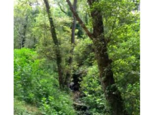 ENTRE ARENAS Y CUEVAS DEL AGUILA