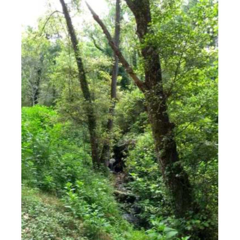 ENTRE ARENAS Y CUEVAS DEL AGUILA