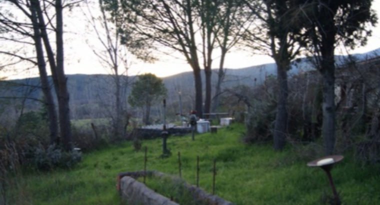 CERCA DE ARENAS, CL-501
