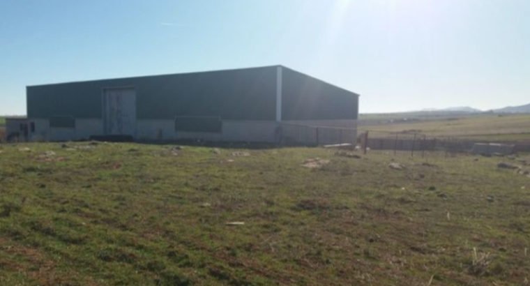 FINCA EN CTRA LLERENA, KM 1, 7