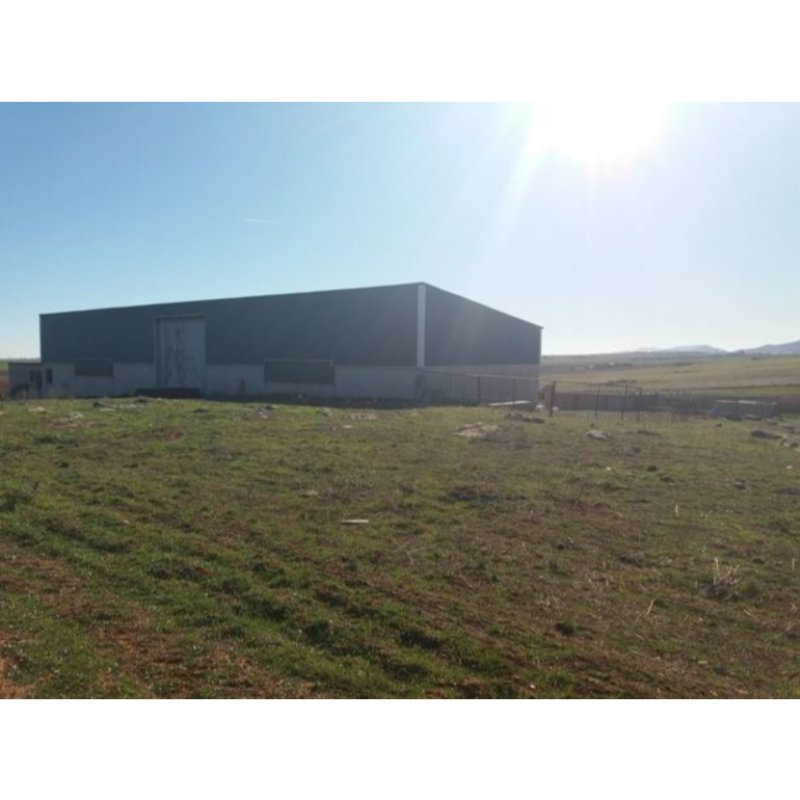 FINCA EN CTRA LLERENA, KM 1, 7